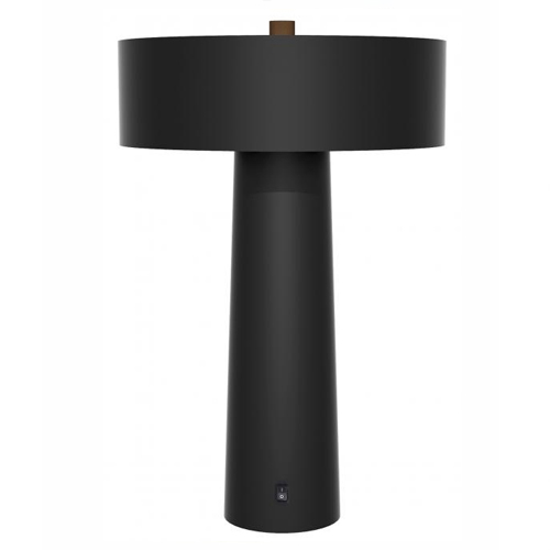 Table Lamp For Dorm Matte Black-Chestnut