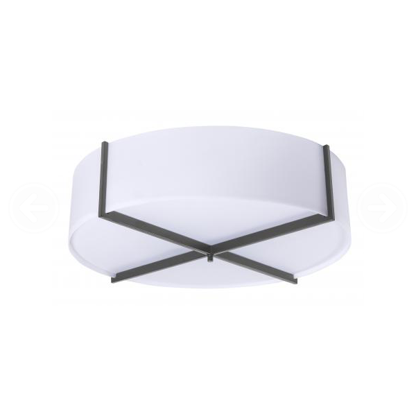 Frosted White Ceiling Fixture